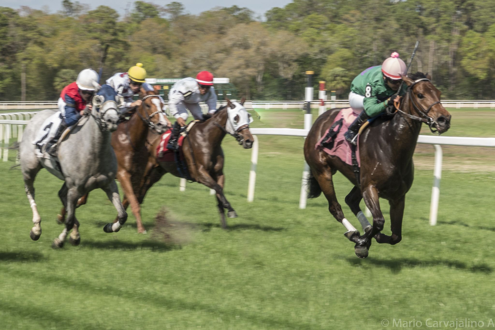 Tampa Bay Downs, USA