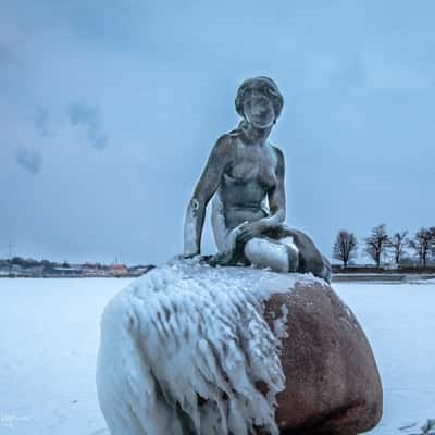 The Little Mermaid Copenhagen, Denmark