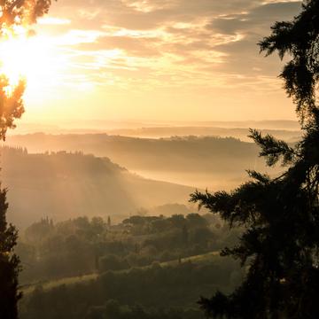 Tuscany Morning View San Gimignano, Italy