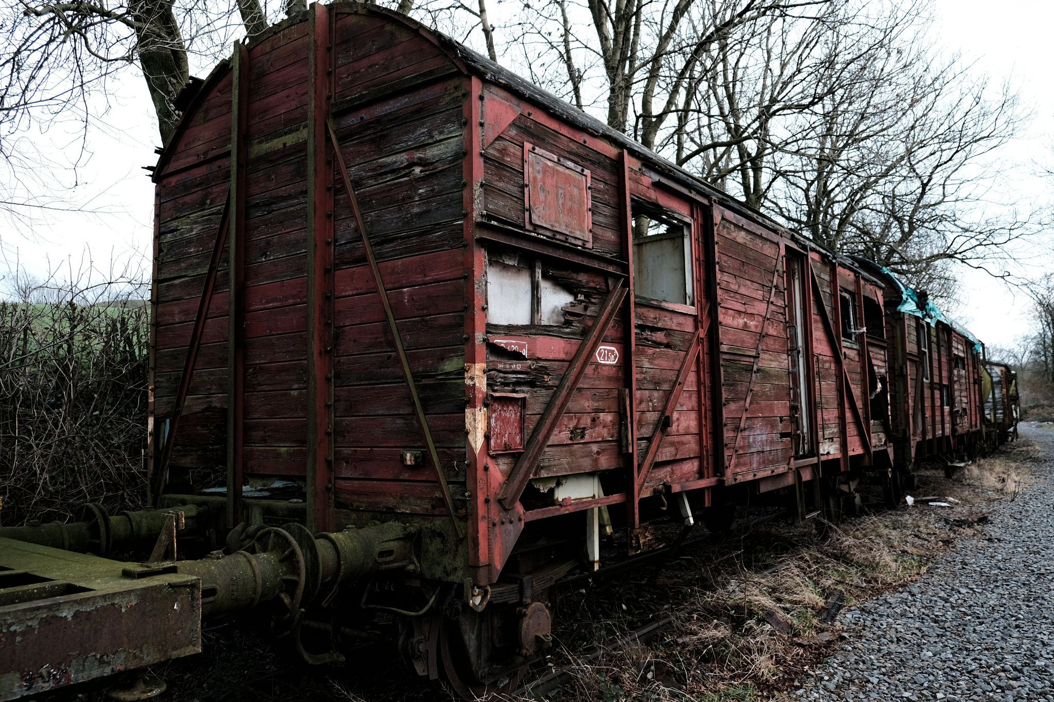 Decayed Trains near Hombourg, Belgium