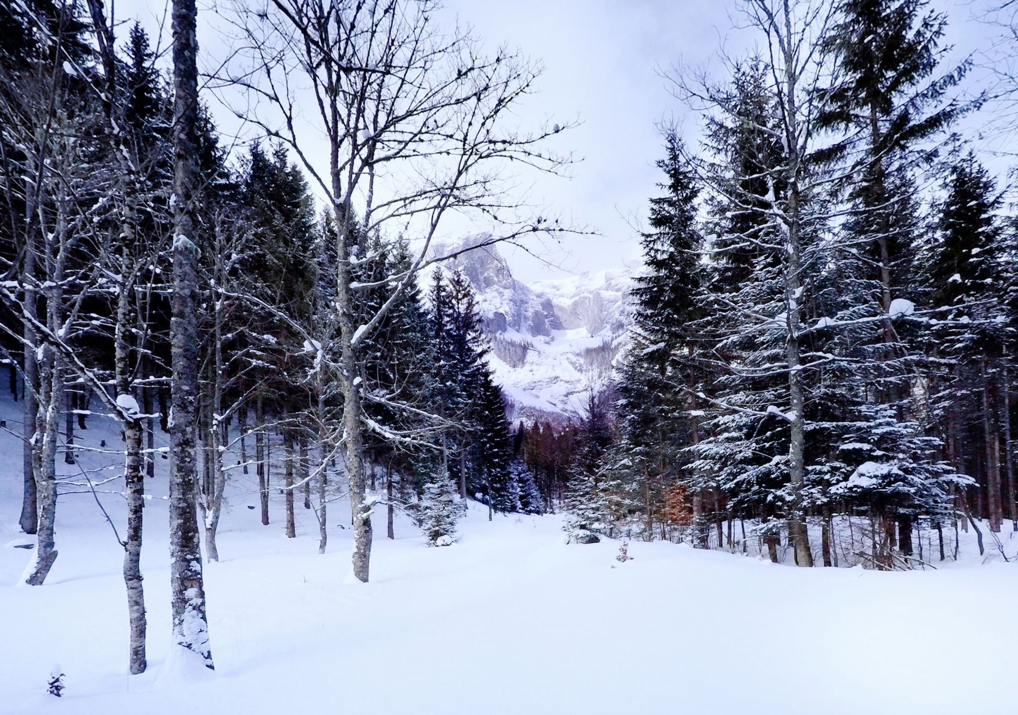 View of the Hochschwab mountain range, Austria