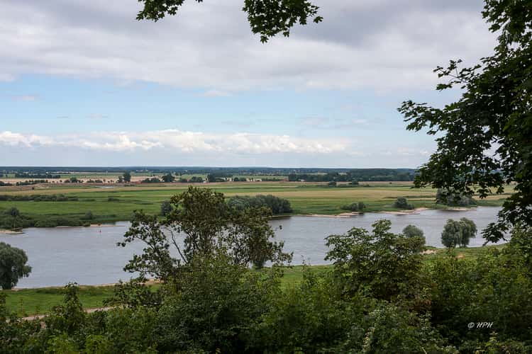 Weinberg Hitzacker