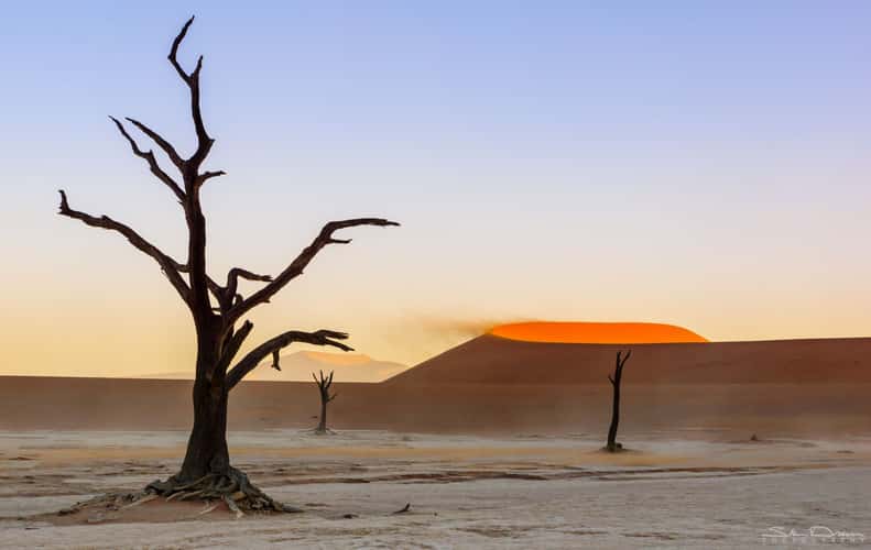Deadvlei, Sossusvlei