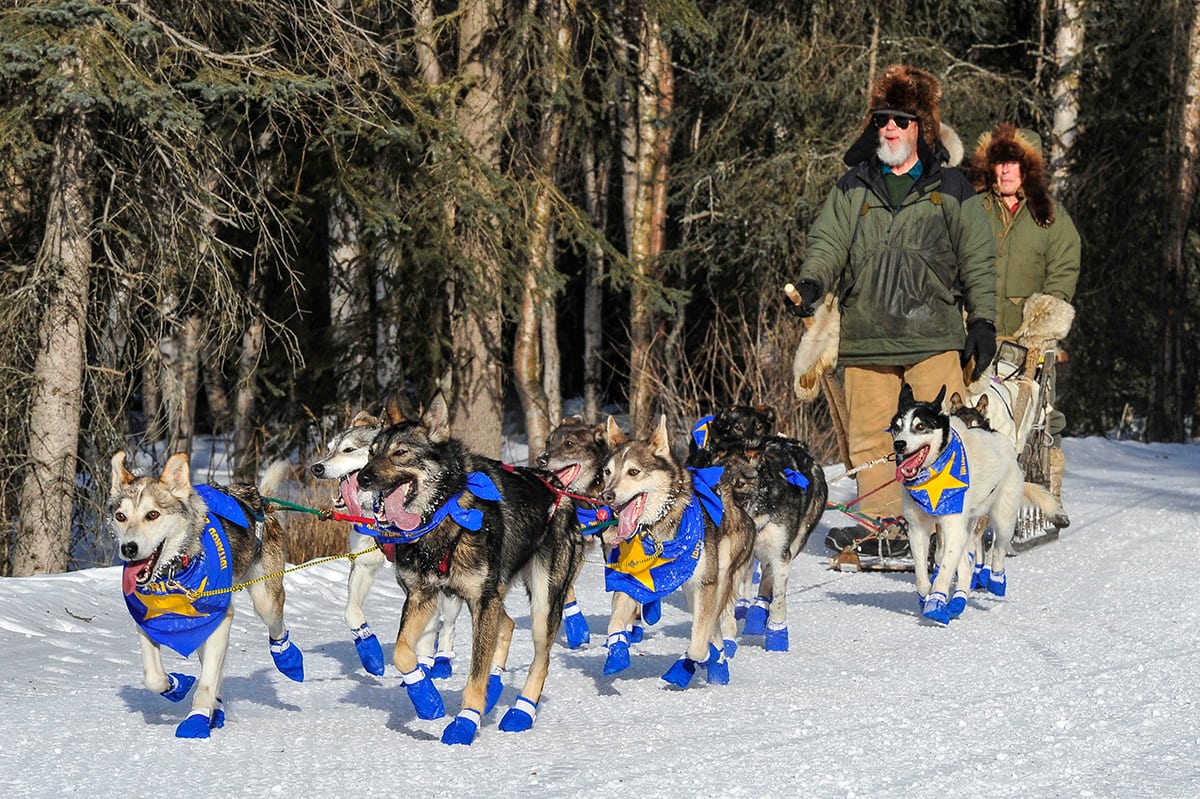 Yukon Quest start in Fairbanks, Alaska, USA