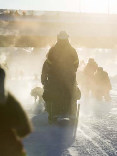 Yukon Quest start in Fairbanks, Alaska
