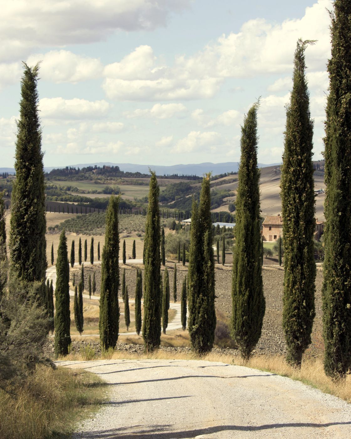 Agriturismo Baccoleno, Asciano, Italy