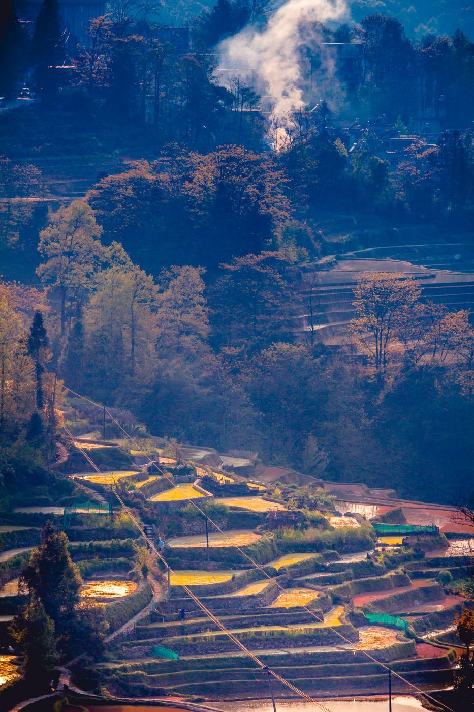 Bada rice terraces, Yuanyang, China