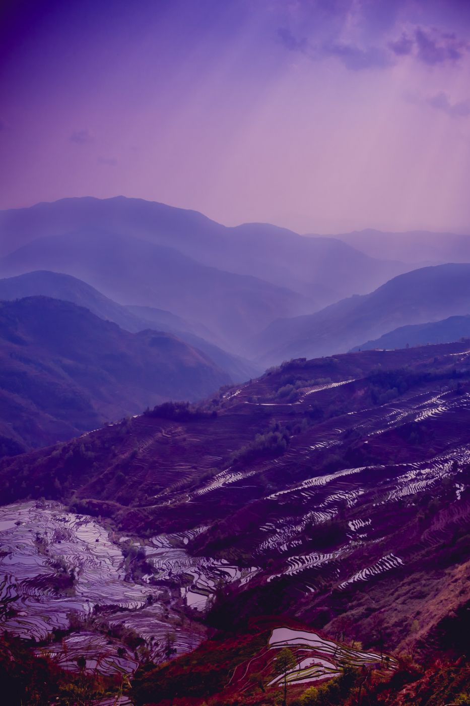 Bada rice terraces, Yuanyang, China