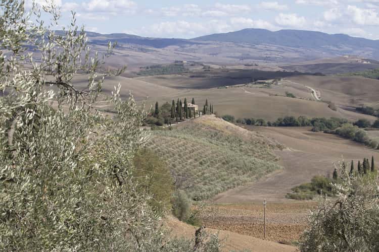 Podere Belvedere in the Val D'orcia Tuscany