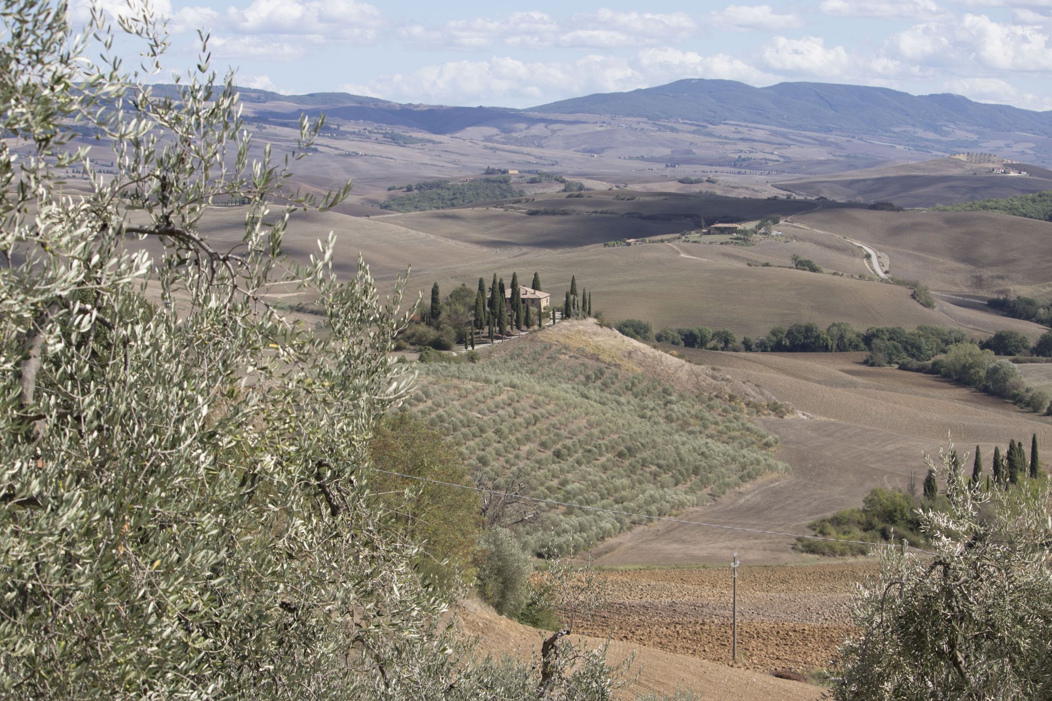 Podere Belvedere in the Val D'orcia Tuscany, Italy
