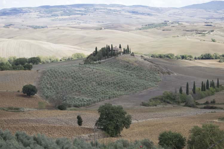 Podere Belvedere in the Val D'orcia Tuscany