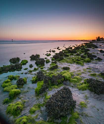 Ben T. Davis Beach