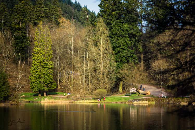 Bergsee