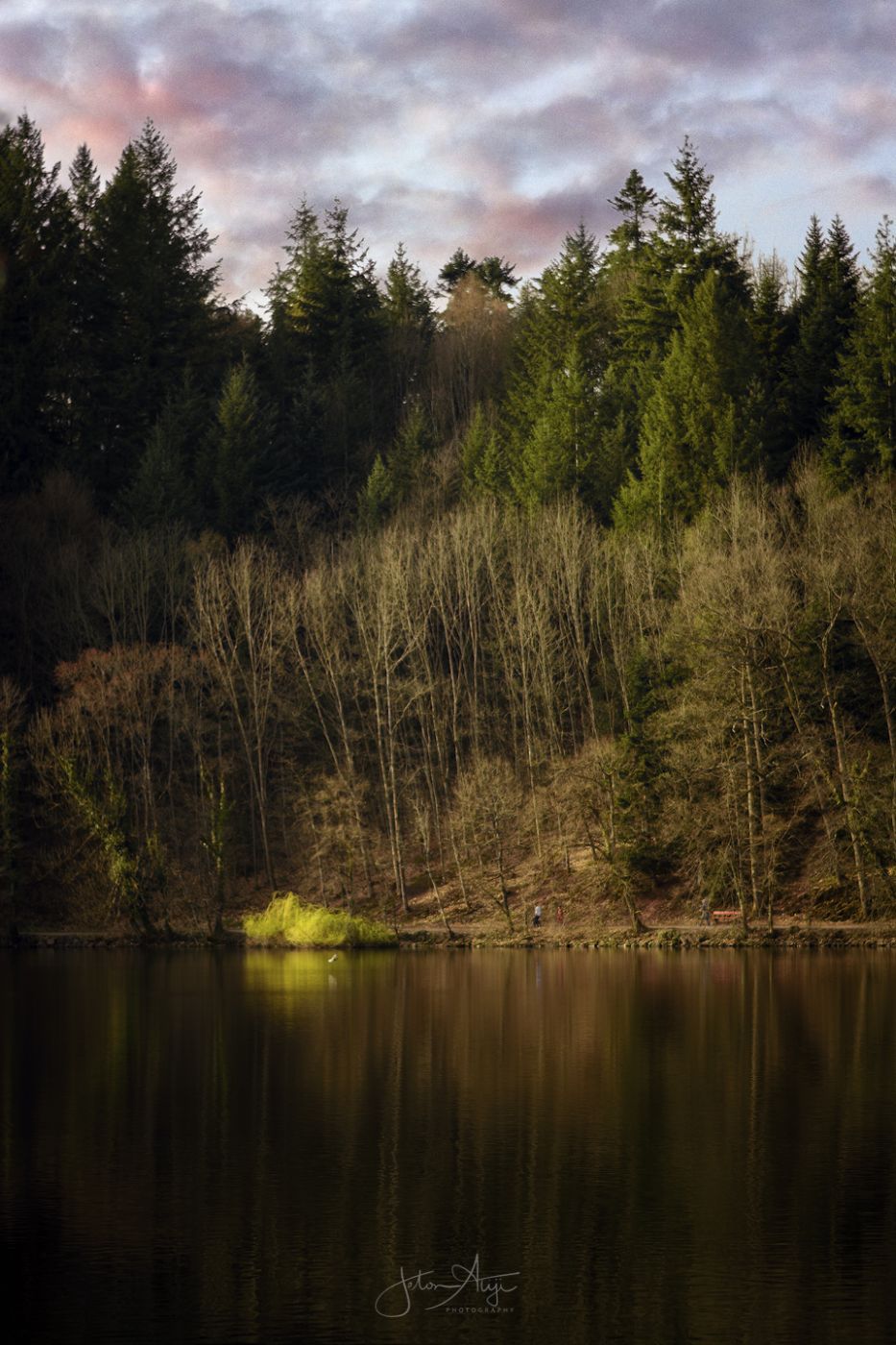 Bergsee, Germany