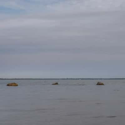 Blue Zebra Island, Malawi