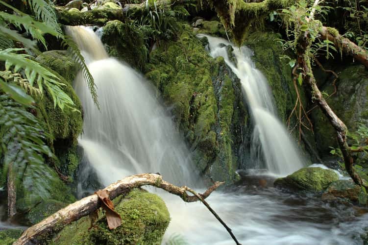 Buller Gorge streams