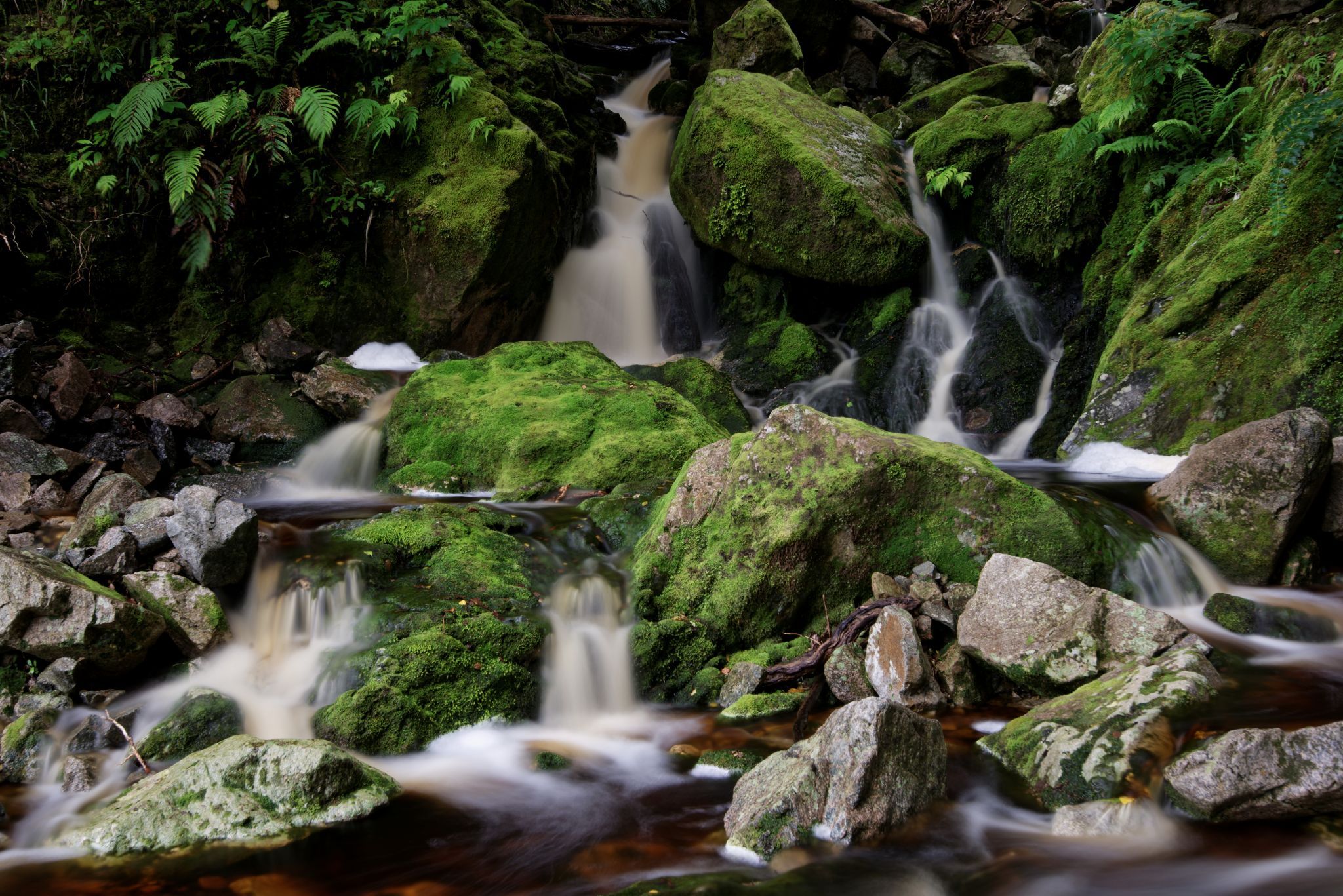 Buller Gorge streams, New Zealand
