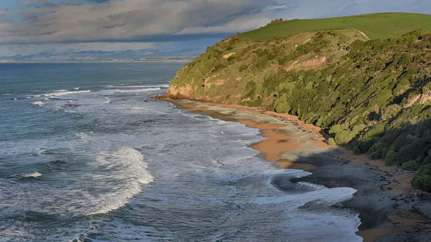 Bushy Beach Scenic Reserve