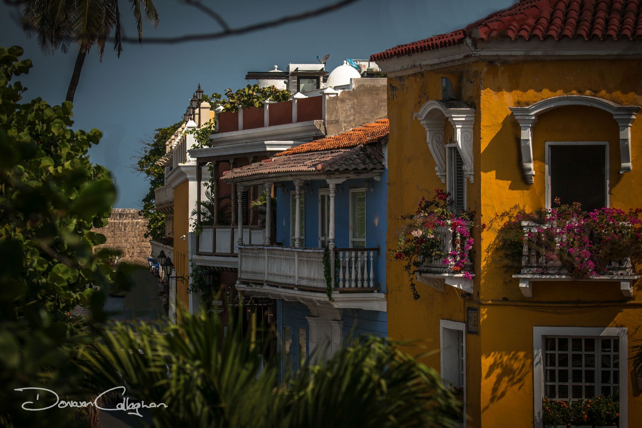 Cartagena houses and flowers, Colombia