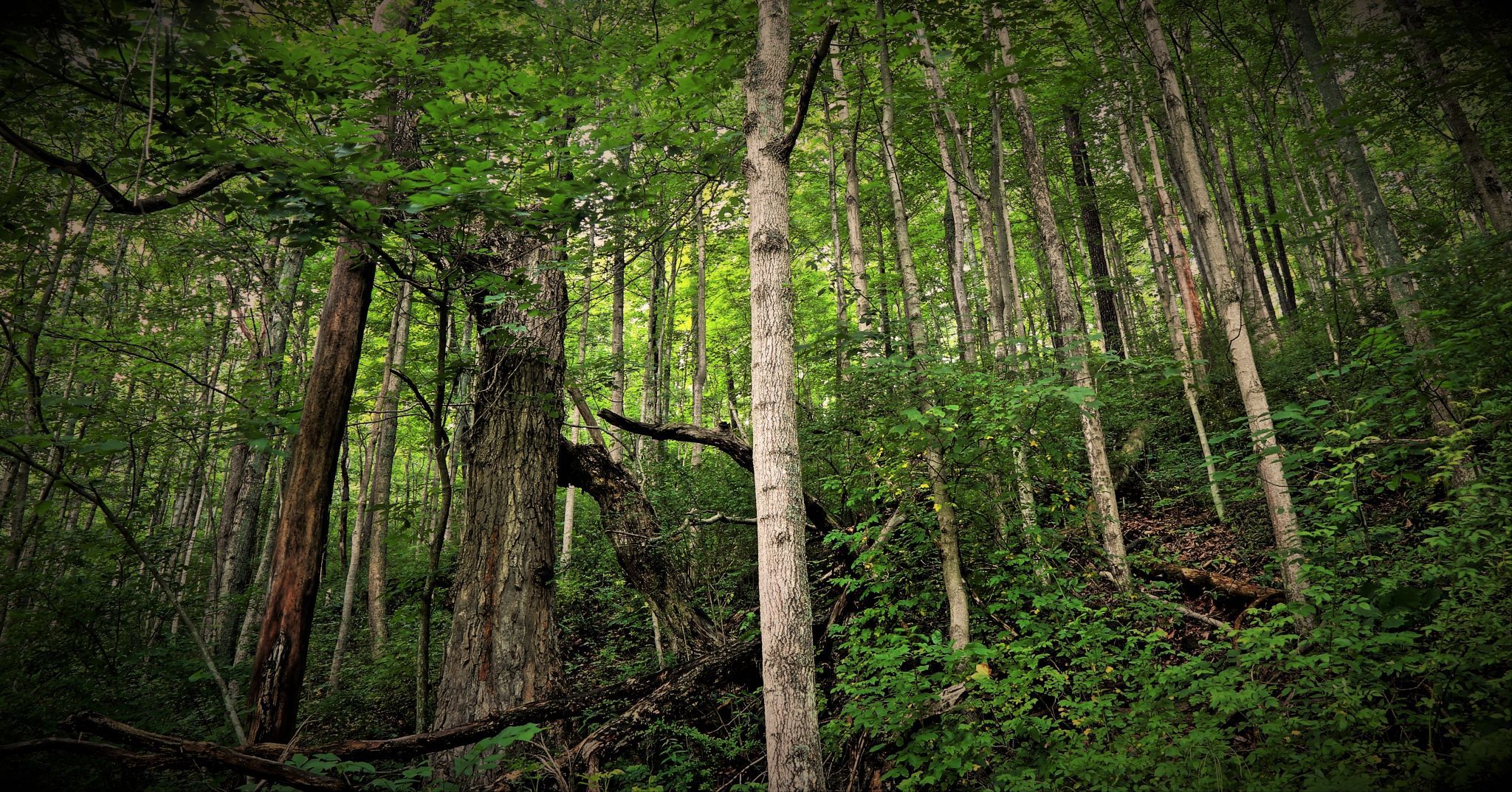 Central Pennsylvania Trails, USA