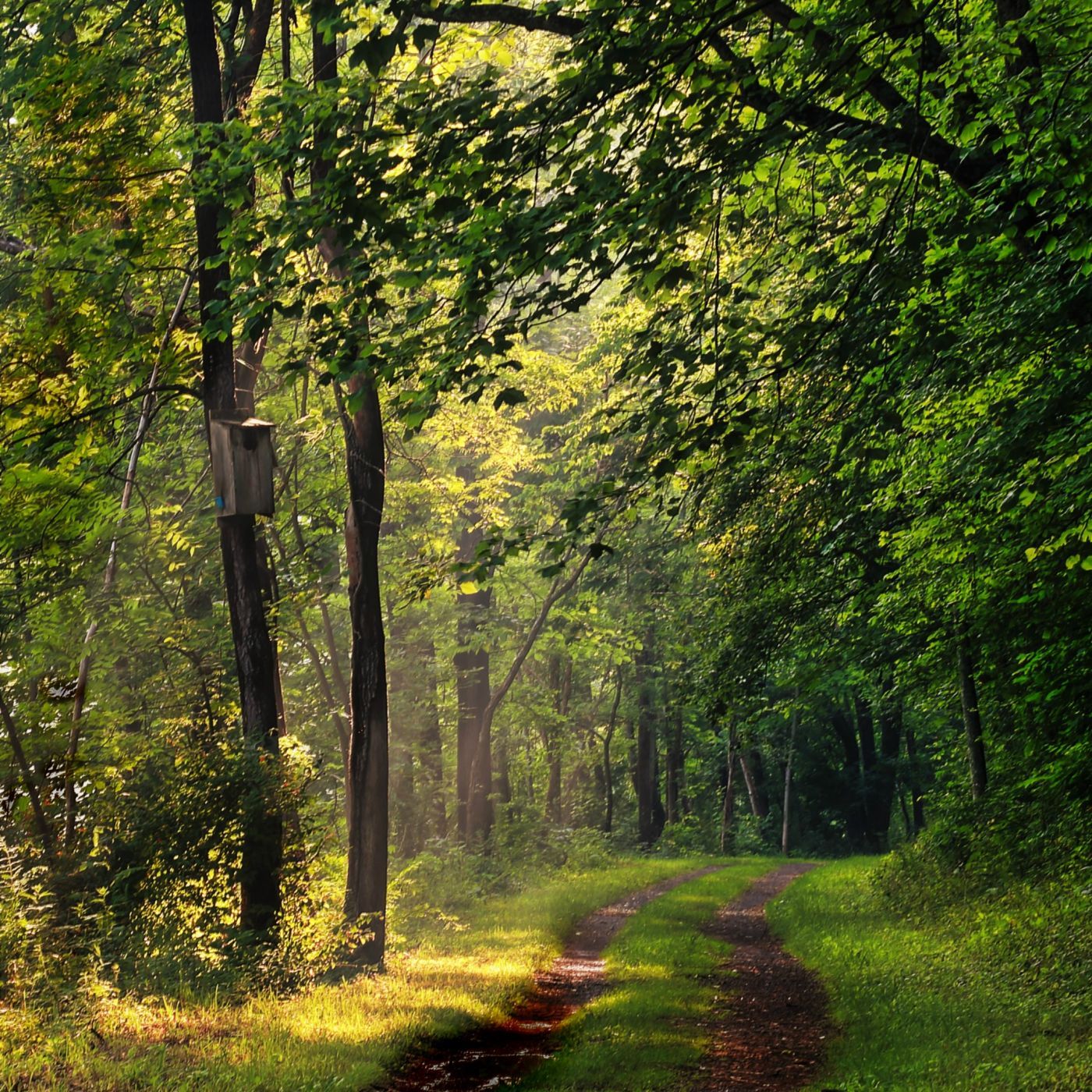 Central Pennsylvania Trails, USA