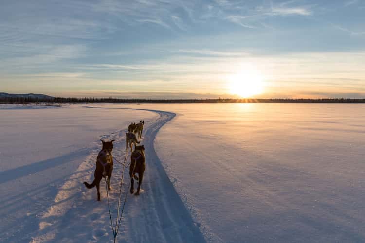 Crossing the Wolf Lake, Nenana, Alaska