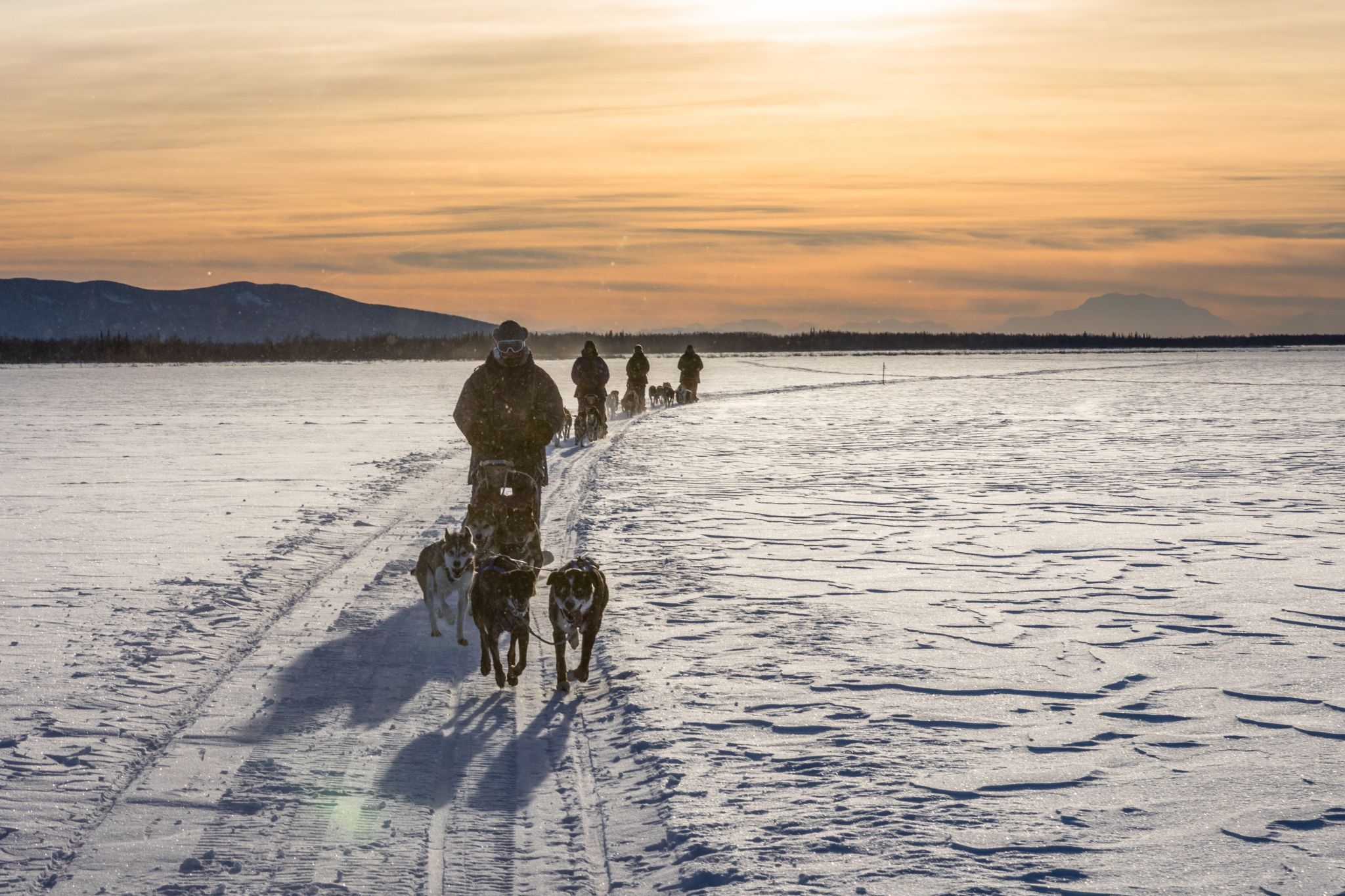 Crossing the Wolf Lake, Nenana, Alaska, USA
