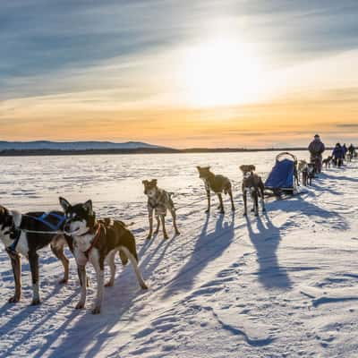 Crossing the Wolf Lake, Nenana, Alaska, USA