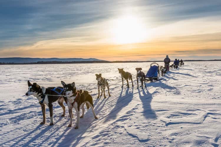 Crossing the Wolf Lake, Nenana, Alaska