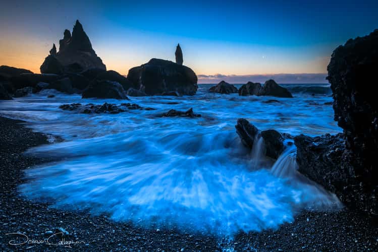 Dawn with stacks in background Reynisfjara Beach