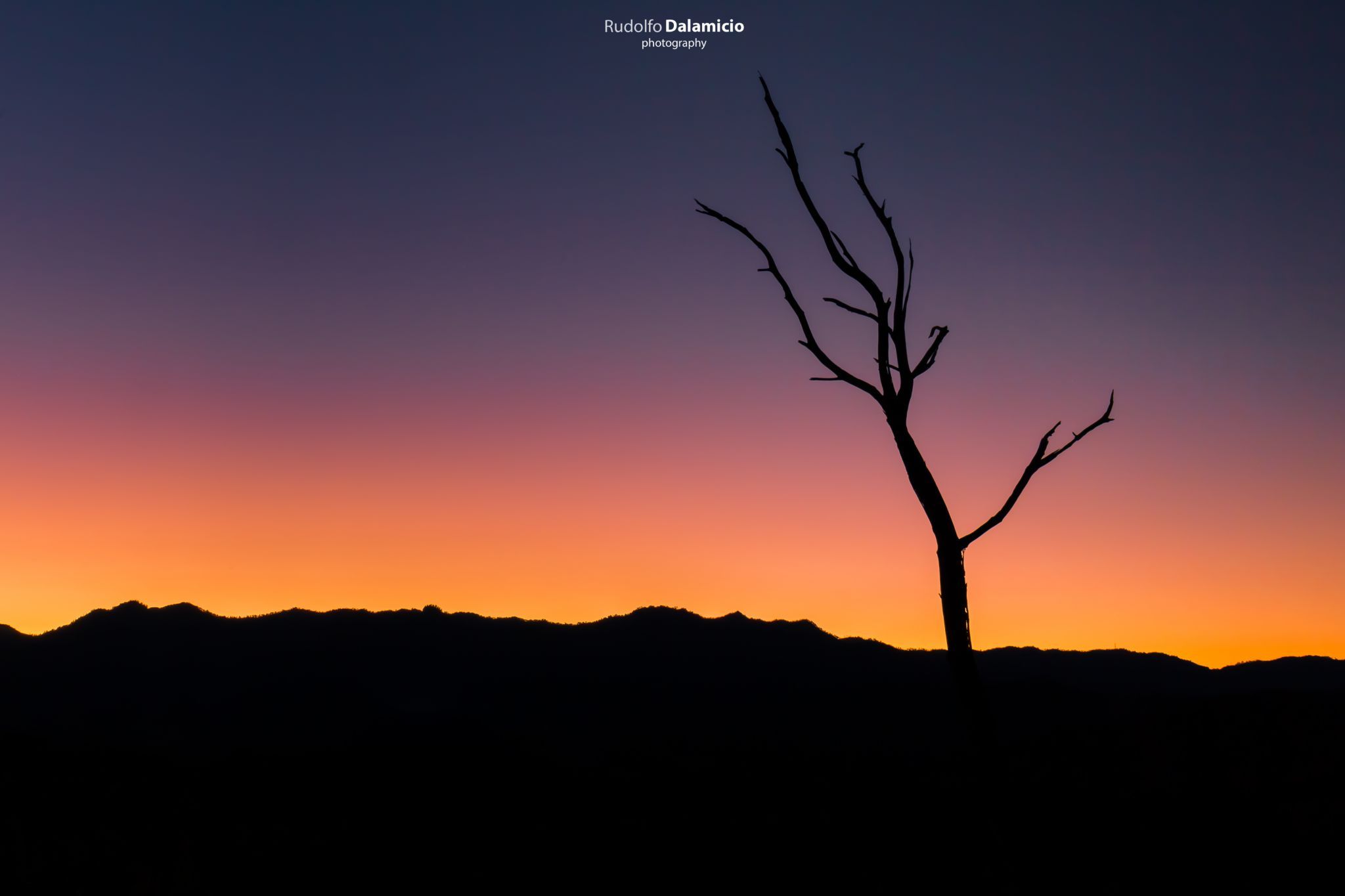 Dead Silhouette, Thailand