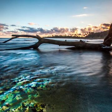 Dead Tree reef sunset, Fiji