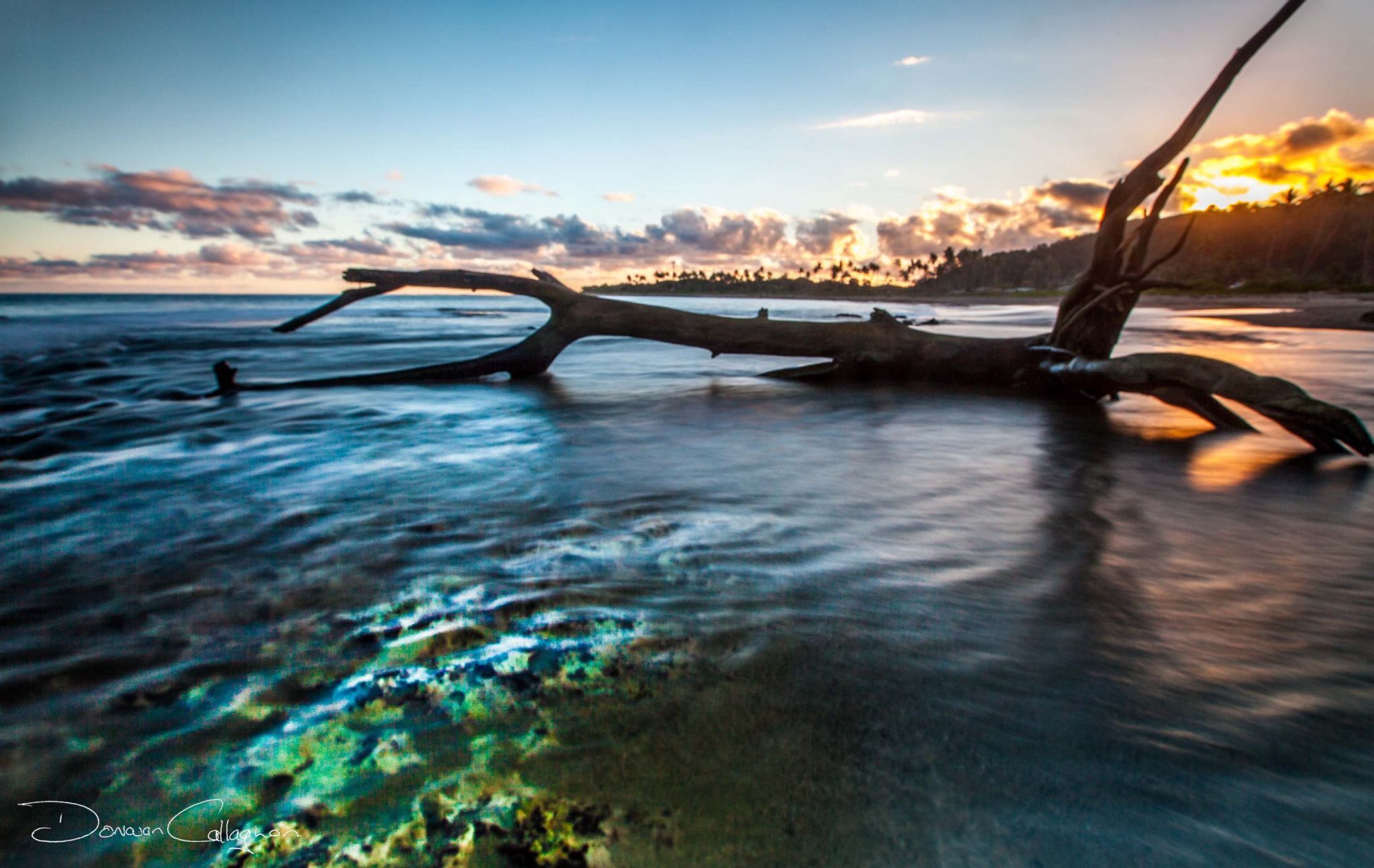 Dead Tree reef sunset, Fiji
