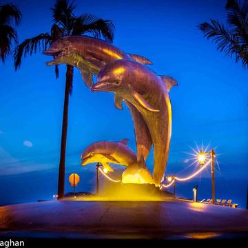 Dolphin Fountain at night Santa Barbara, USA