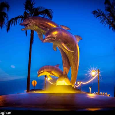 Dolphin Fountain at night Santa Barbara, USA