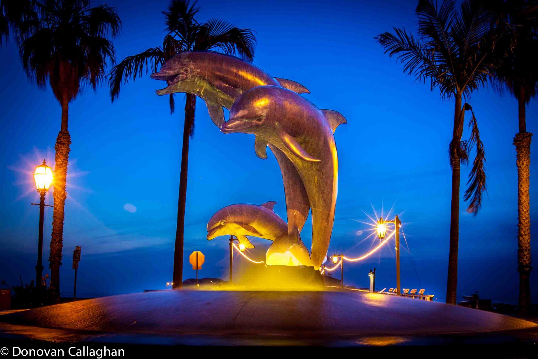 Dolphin Fountain at night Santa Barbara, USA