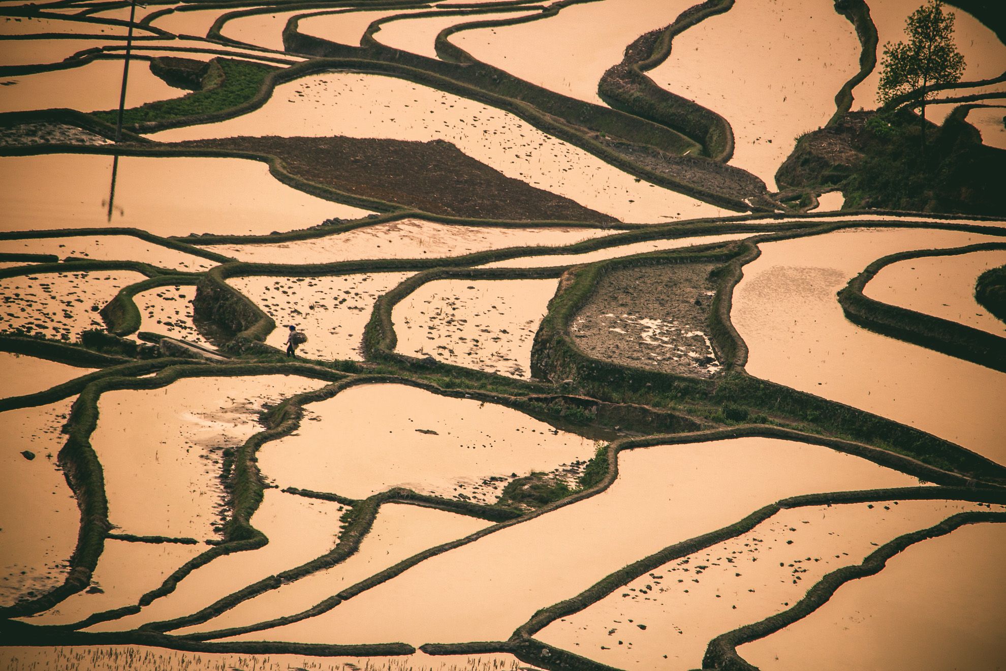 Duoyishu Rice Terraces, Yuanyang, Yunnan, China