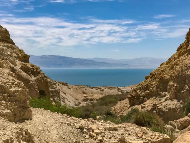 Ein Gedi Oasis
