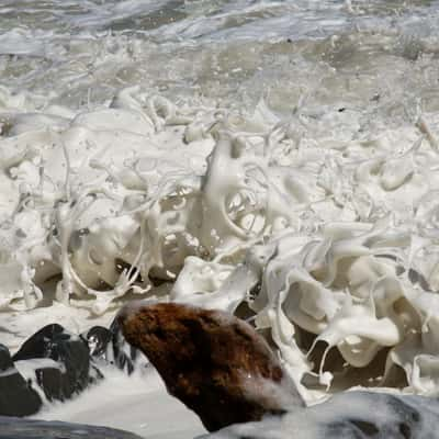 Foaming Waves, West Coast, New Zealand