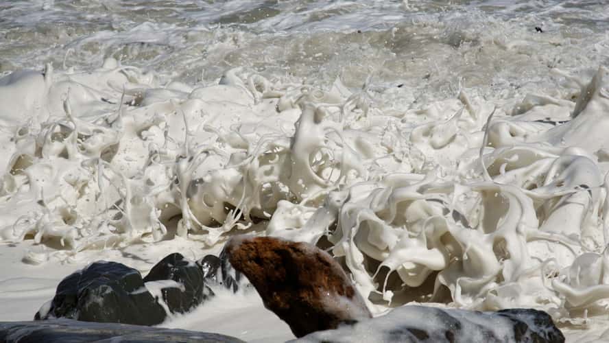 Foaming Waves, West Coast
