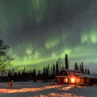 Goldstream Husky Lodge, Nenana, Alaska, USA