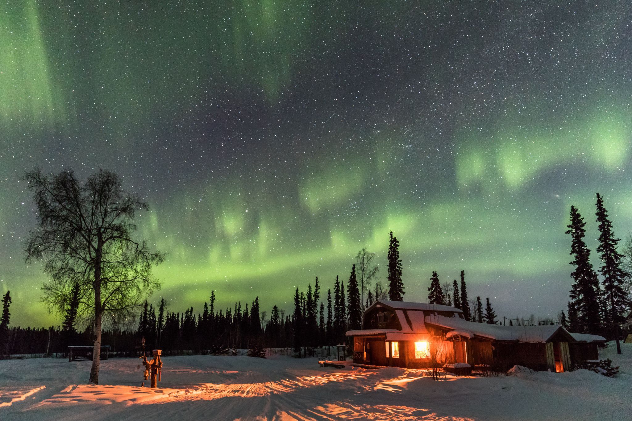 Goldstream Husky Lodge, Nenana, Alaska, USA