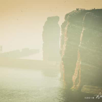 Helgoland - Lummenfelsen & Lange Anna, Germany