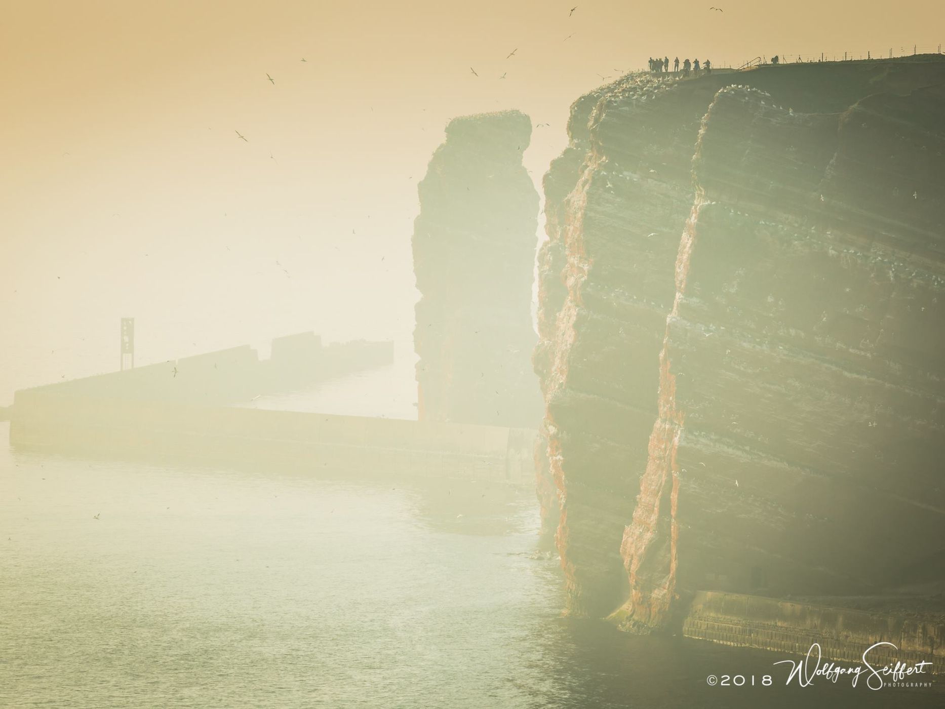 Helgoland - Lummenfelsen & Lange Anna, Germany