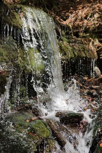 Heslacher Waterfall, Stuttgart
