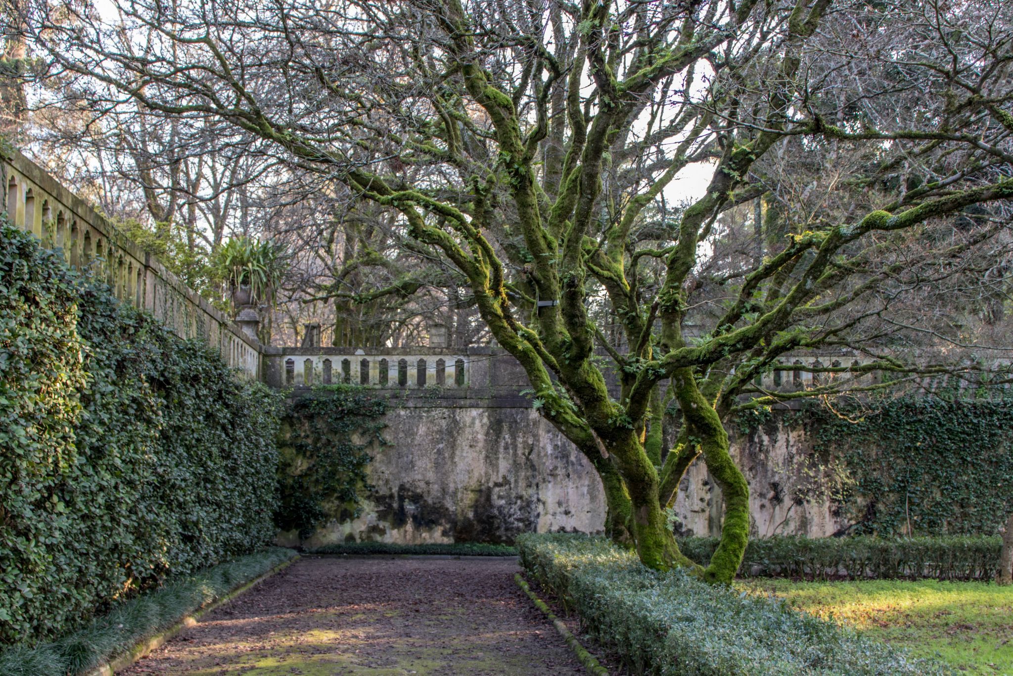 Jardim Botânico da Universidade de Coimbra, Portugal
