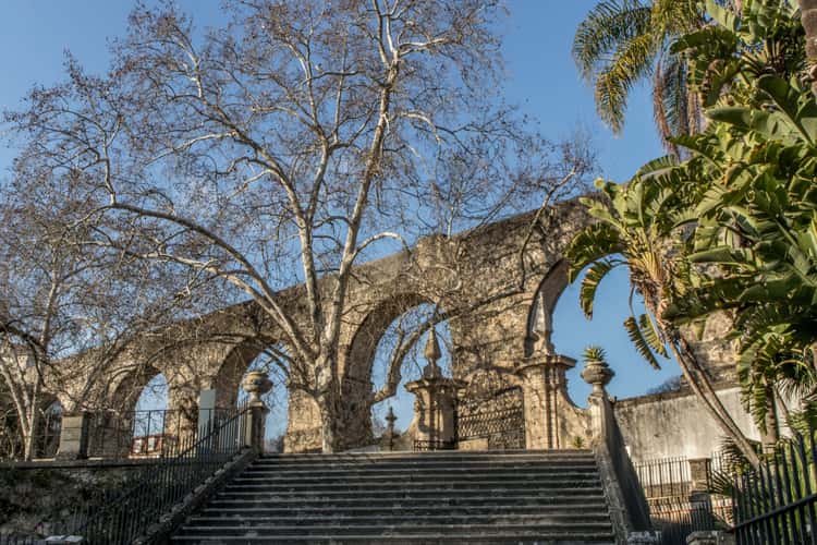 Jardim Botânico da Universidade de Coimbra