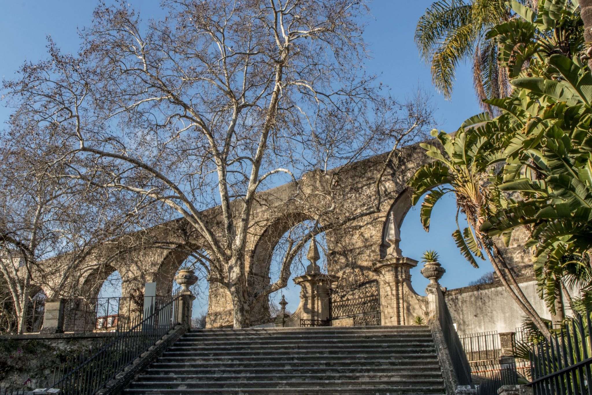 Jardim Botânico da Universidade de Coimbra, Portugal