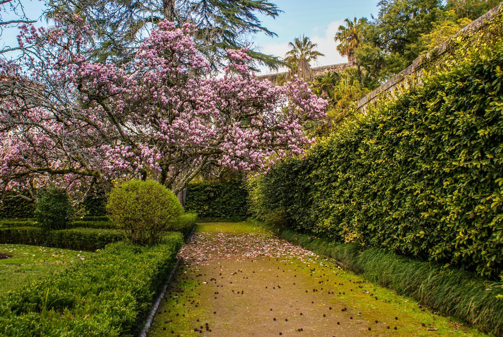 Jardim Botânico da Universidade de Coimbra, Portugal