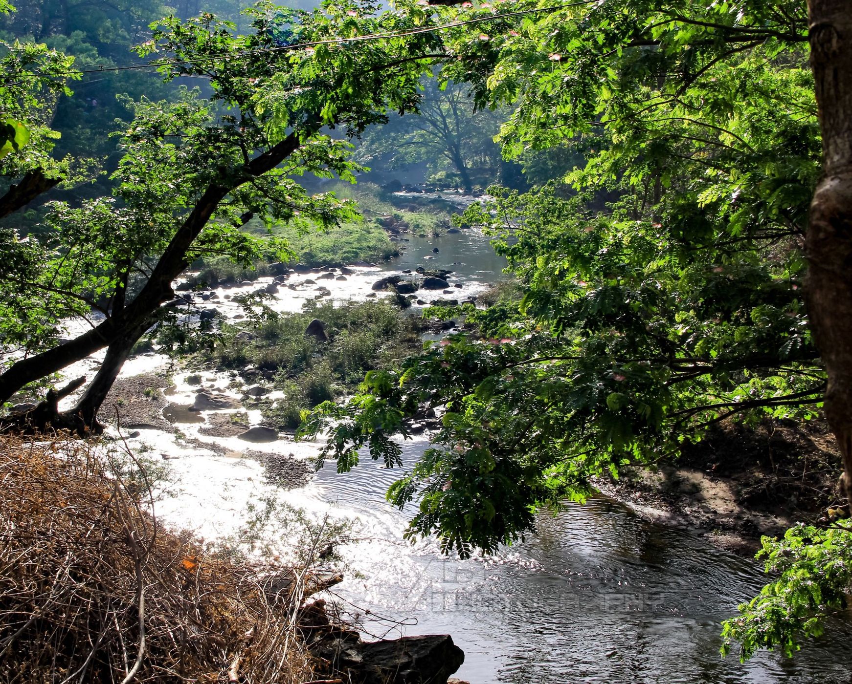 Kallada - Achankovil River, India